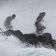A trio of ‘percebeiro’ stake out a rock.